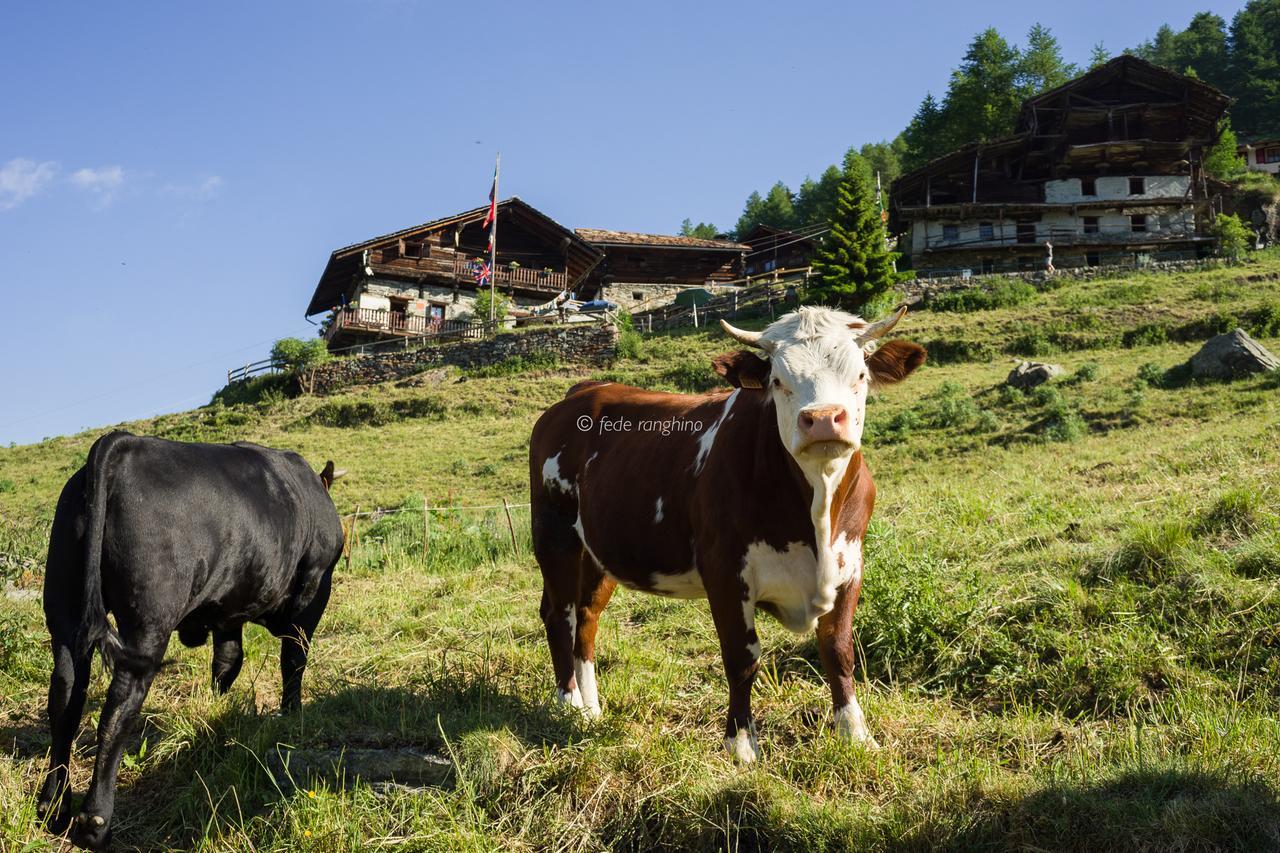 Hotel Rifugio Guide Frachey Saint Jacques Esterno foto